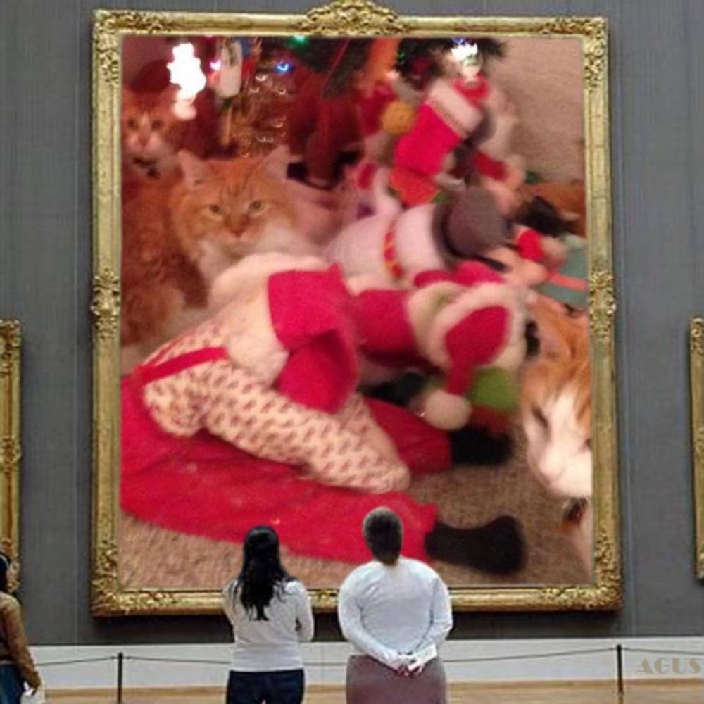 Meet your Posher, Alison